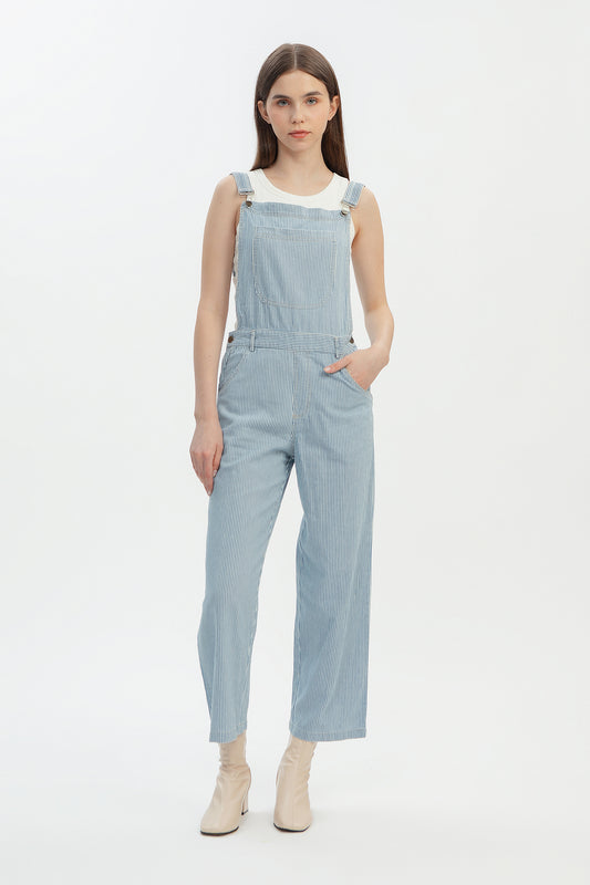 Pinstripe Denim Overalls