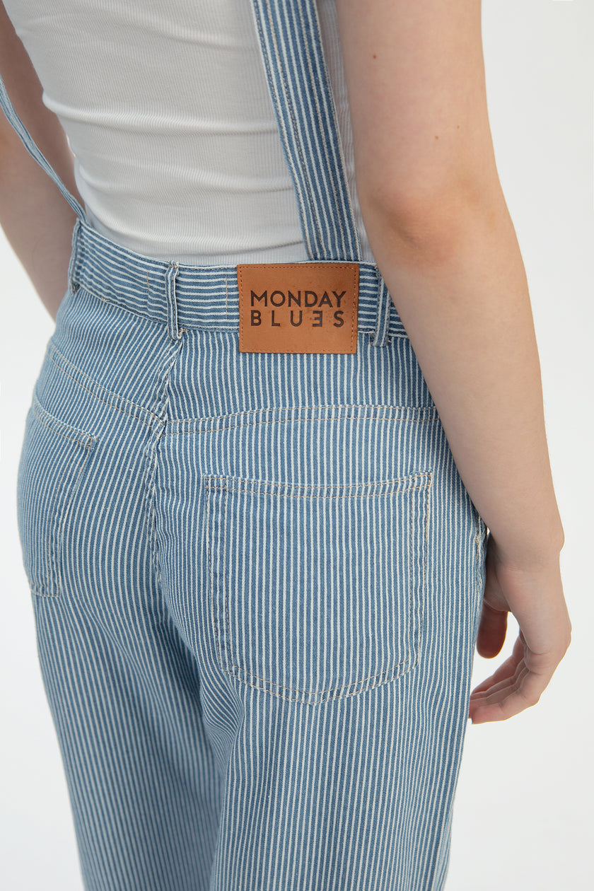 Pinstripe Denim Overalls