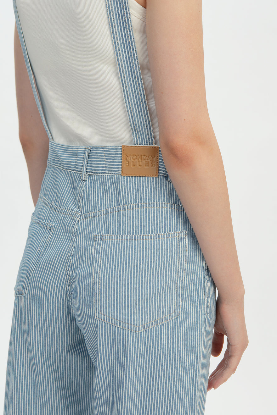 Pinstripe Denim Overalls